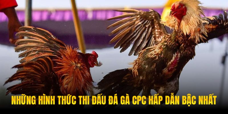 Rất nhiều hình thức hấp dẫn mà chúng ta có thể tham gia