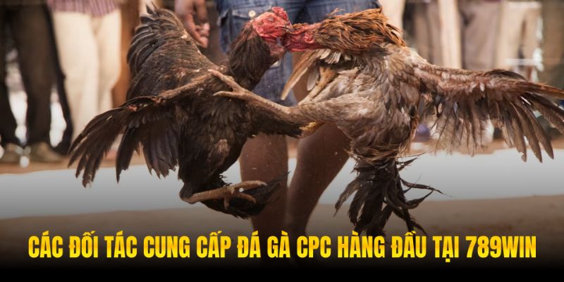 Nhà cái hợp tác với loạt các tên tuổi danh giá trên thị trường